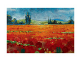 Spring Meadows II