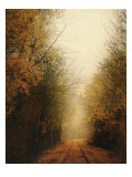 Road of Mysteries I