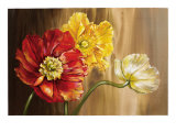 Poppies
