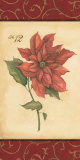 Poinsettia