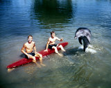 Flipper