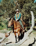Doug McClure