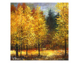 Aspen Forest