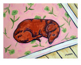 Dachshund Sleeping On A Carpet