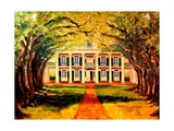 Oak Alley Plantation