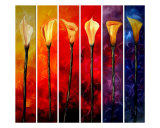 Calla Lilies
