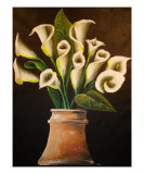 Calla Lillies
