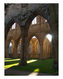 Tintern Abbey Arches-1