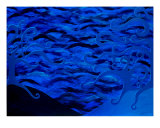 Deep Blue