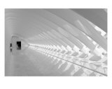 Milwaukee Art Museum VIII