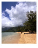 Kualoa Beach In Oahu