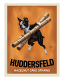 Huddersfeld - Boston Terrier