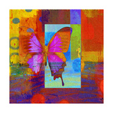 Butterfly IV