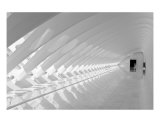 Milwaukee Art Museum IX