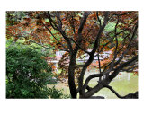 Japanese Garden Bridge