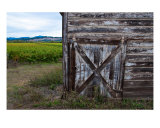 A Russian River Vineyard