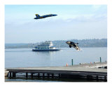 Orca Killer Whale Blue Angels Lake Washington