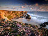 Bedruthan Steps on Cornish Coast  with Flowering Thrift  Cornwall  UK