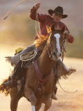 Cowboy Galloping While Swinging a Rope Lassoo at Sunset  Flitner Ranch  Shell  Wyoming  USA