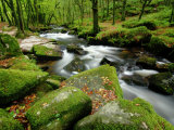 Golitha Falls  Bodmin  Cornwall  UK