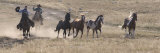 Two Cowboys Herding Horses  Flitner Ranch  Shell  Wyoming  USA