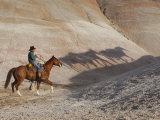 Cowboy Chasing Shadow Horses  Flitner Ranch  Shell  Wyoming  USA