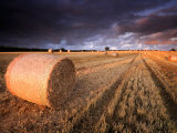 Round Straw Bales and Stormy Morning Sky  Near Bradworthy  Devon  Uk September 2008