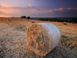 Round Straw Bales and Stormy Morning Sky  Near Bradworthy  Devon  Uk September 2008