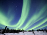 Northern Lights Northwest Territories  March 2008  Canada
