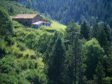 Old Farmhouse on Steep Hillside in Tregura  Ripolles  Catalonia Pyrenees  Spain