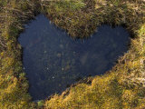Heart-Shaped Pool on Saltmarsh  Argyll  Scotland  UK  November 2007