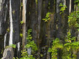Svartifoss Waterfall and Basalt Rock Columns in Skaftafell National Park  Iceland