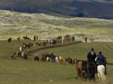 Icelandic Horses and Riders  Riding Near Landmannalaugar  Iceland