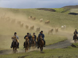 Icelandic Horses and Riders  Riding Near Landmannalaugar  Iceland