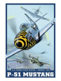B-25 Bomber Escort Mission - P-51 Mustang  c2008