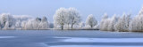 Trees Covered in Hoarfrost Beside Frozen Lake in Winter  Belgium