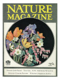 Nature Magazine - View of Flowers  c1927