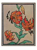 Nature Magazine - Sketch of Tiger Lilies  c1930