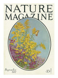Nature Magazine - View of Blooming Flowers and a Butterfly  c1927
