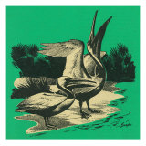 Nature Magazine - View of Two Herons  c1949