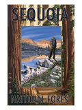Sequoia National Forest  Ca Hiking Scene  c2009