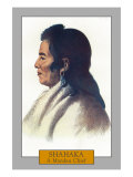 Shahaka - Portrait of a Mandan Chief  c1844