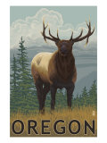 Elk Scene - Oregon  c2009