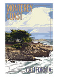 Monterey Coast  Ca View of Cypress Trees  c2009