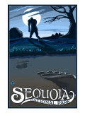 Sequoia Nat'l Park - Bigfoot - Lp Poster  c2009