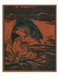 Nature Magazine - View of a Bass Jumping Out of Water to Eat a Dragonfly  c1952