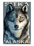 Sitka  Alaska - Wolf Up Close  c2009