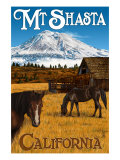 Mt Shasta and Horses  c2009