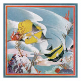Nature Magazine - View of Butterflyfish  c1929