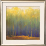 Deep Woods in Summer